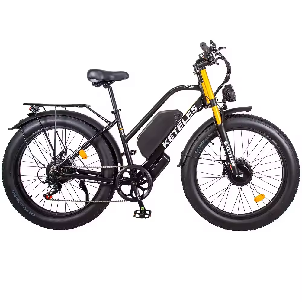 XF4000 Dual Motor E-Bike