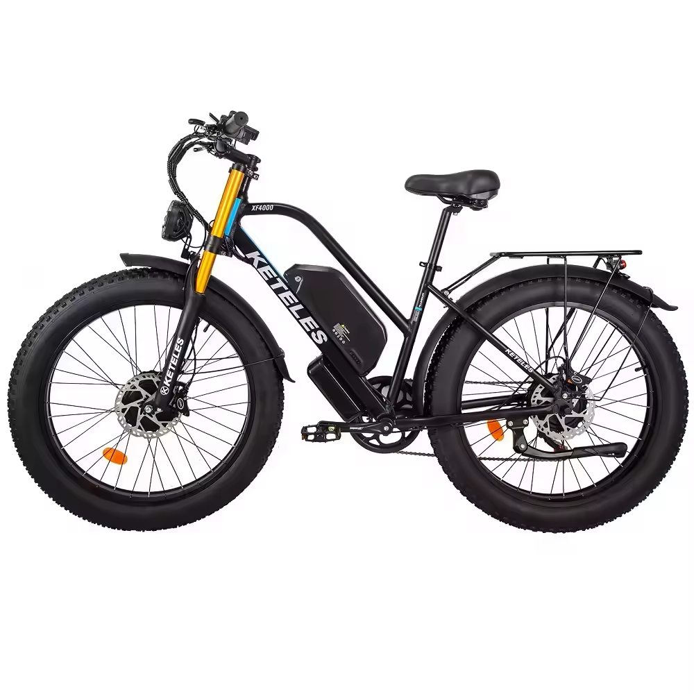 XF4000 Dual Motor E-Bike