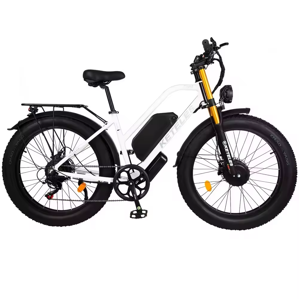 XF4000 Dual Motor E-Bike