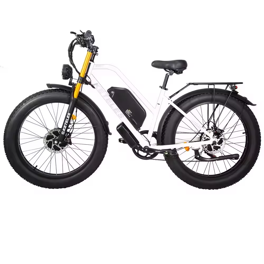 XF4000 Dual Motor E-Bike