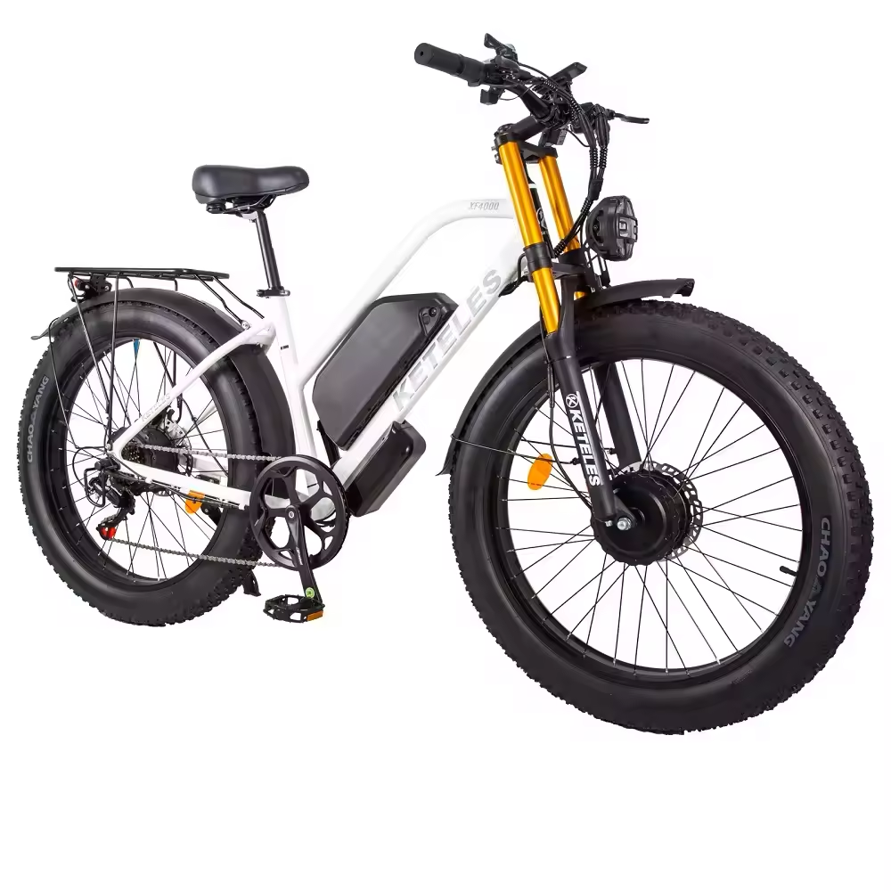 XF4000 Dual Motor E-Bike