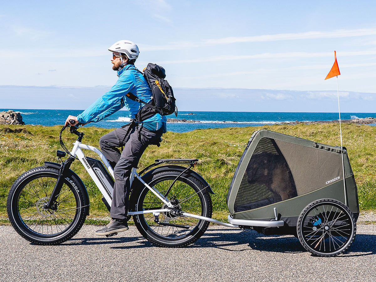 Himiway Cruiser ST | All Terrain Step Thru Electric Bike