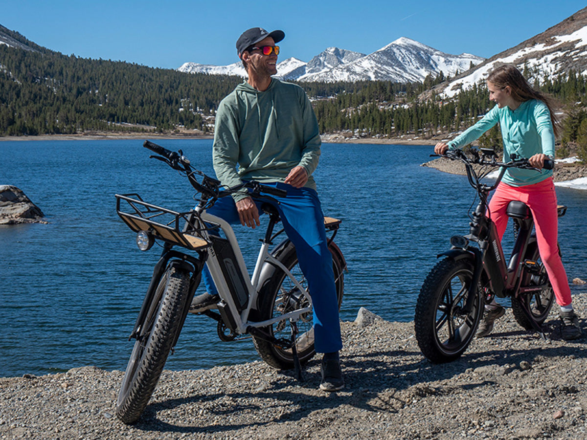 Himiway Cruiser ST | All Terrain Step Thru Electric Bike