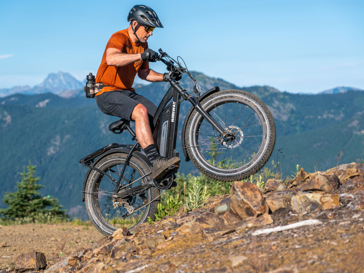 Himiway Cruiser | Long Range Fat Tire Electric Bike