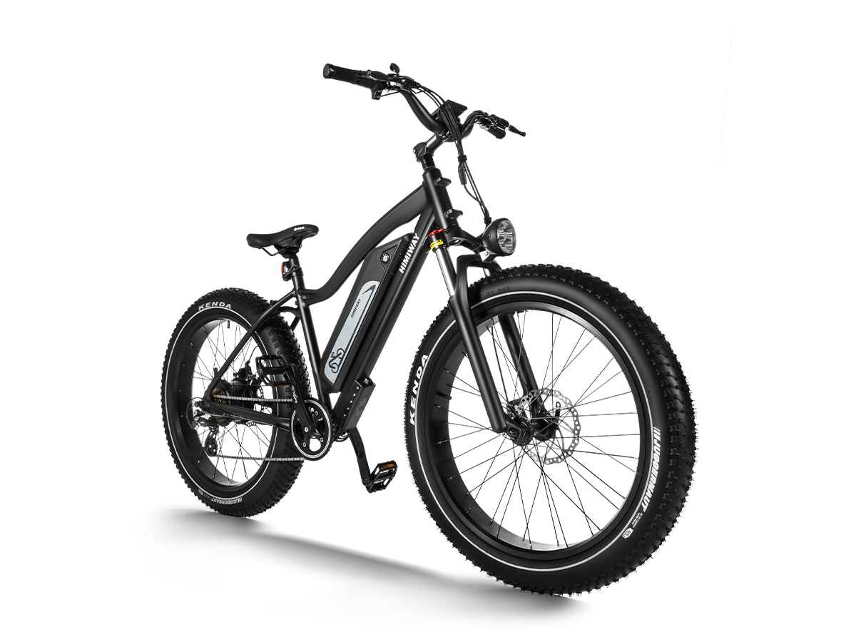 Himiway Cruiser | Long Range Fat Tire Electric Bike