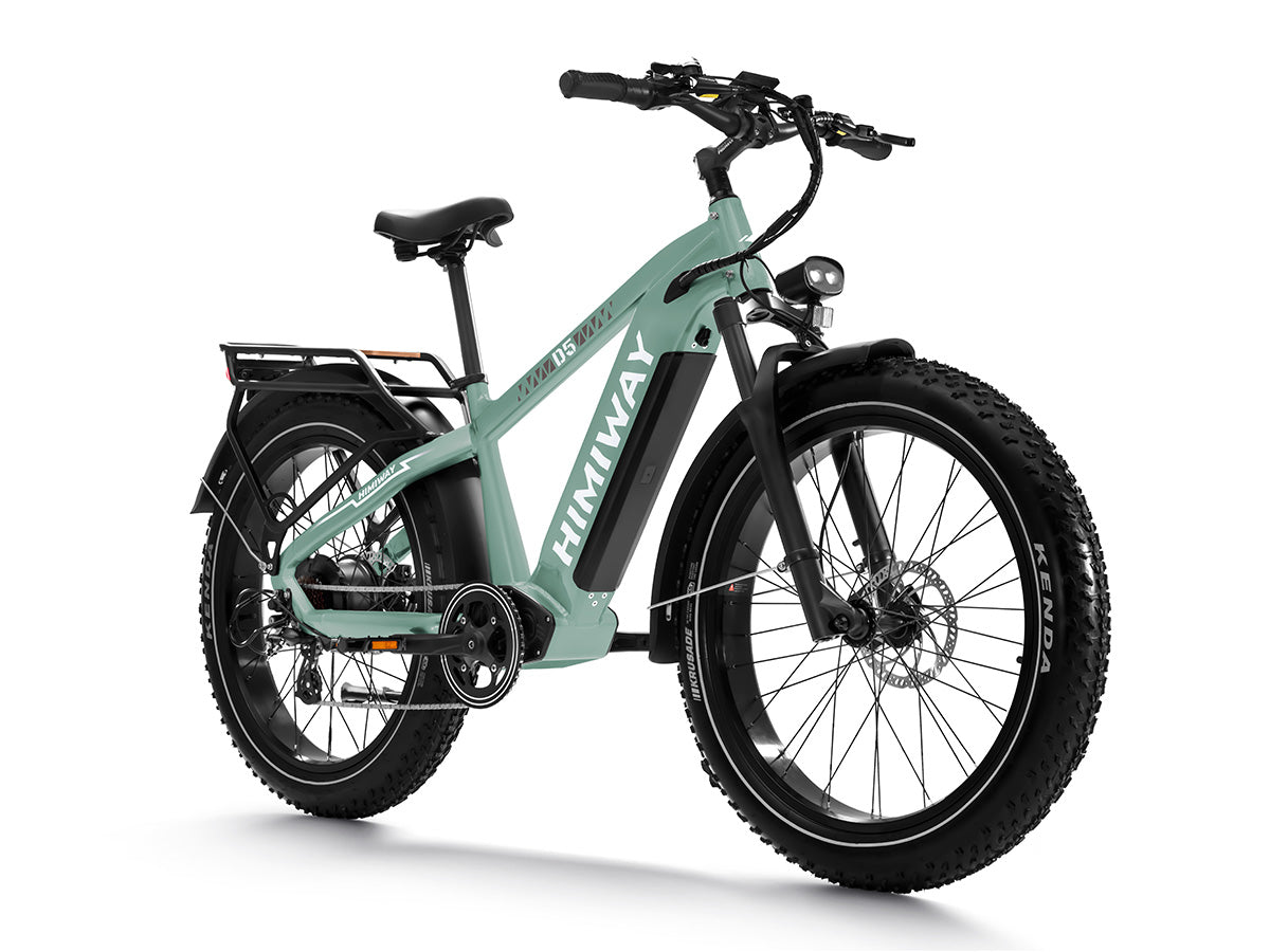 Premium All-terrain Electric Fat Bike Zebra/D5